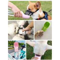 Pet Water Bottle & Feeder